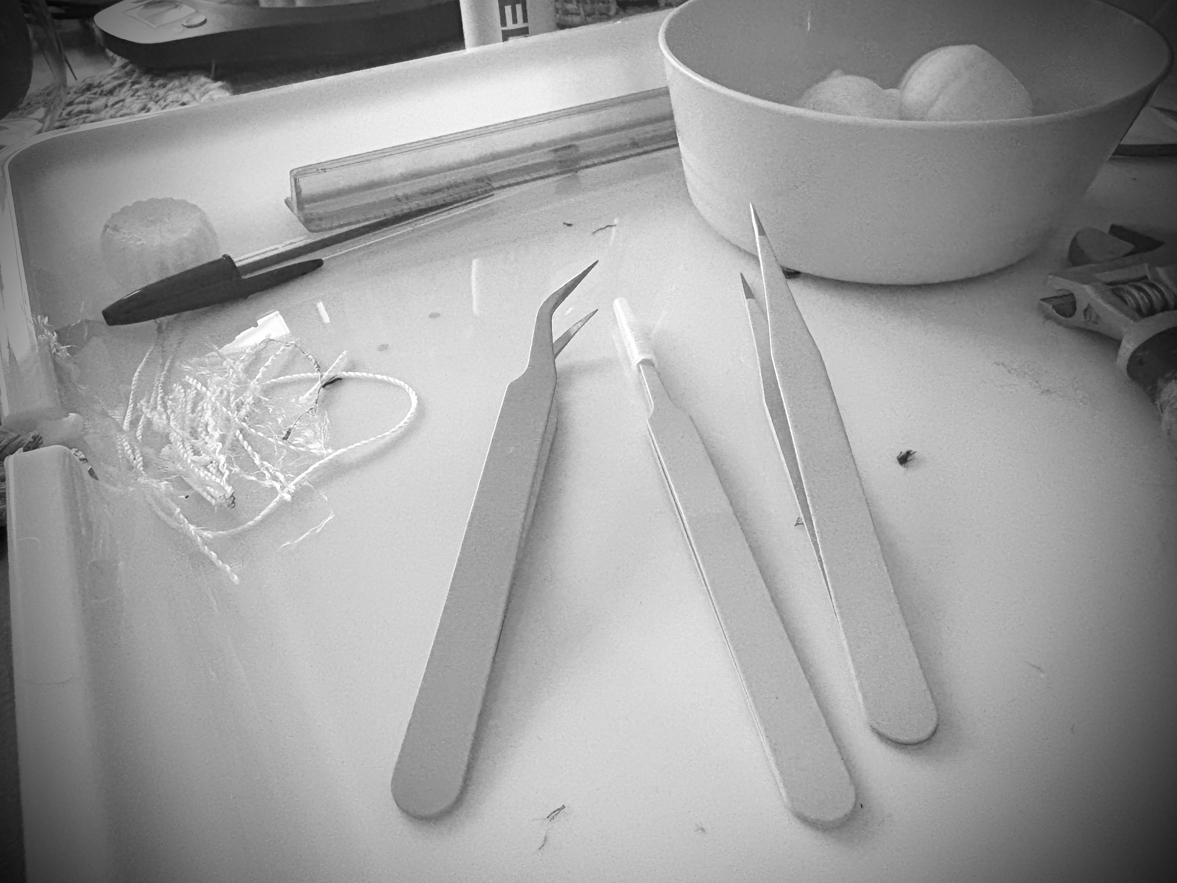 Precision Studio Tweezers
